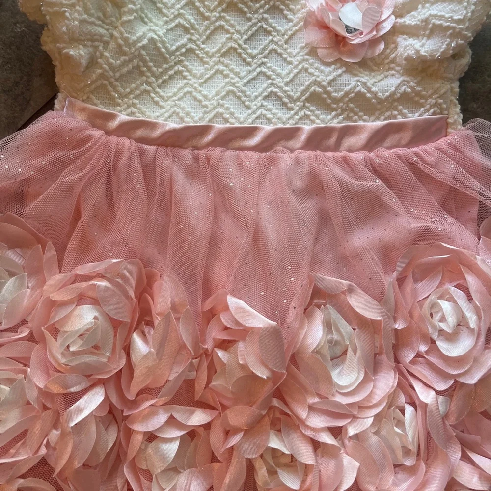 Nannette Pink Floral Baby Dress